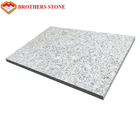 1. Grad zog Platten-graue Pflasterstein-Platten-gute Korrosionsbeständigkeit des Granit-G603 ab