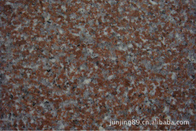 Ultra große rote Stein-Fliesen des Granit-G562, Granit-Badezimmer deckt harte Beschaffenheit mit Ziegeln