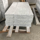 Polierstein-Fliesen-Platten-Alkali-Widerstand des granit-G603 für Countertop