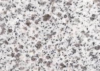 Natürliche populäre Kamelien-weißer Granit G603 für Bodenfliese und Treppe