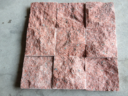 Platte 2,73 g/cm3 der rote Farbraue Granit-Küche Countertop-Bodenfliese-50x50