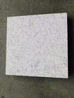 Kundengebundene Größen-Pearl White-Granit-Zähler-Spitzen für Garten