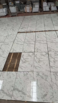 Brasilianische Andromeda Weißgranitplatten für Arbeitsplatten Wände Treppen beliebte Wahl