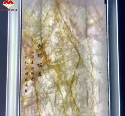 Polsterte brasilianische Pandora-Marmor-Große Platte für modernen Stil Patagonien Wandpaneel