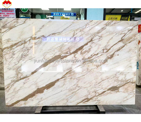 Handel FOB Modern Calacatta Gold Marmorplatte aus Italien für Wandboden-Tischplatte