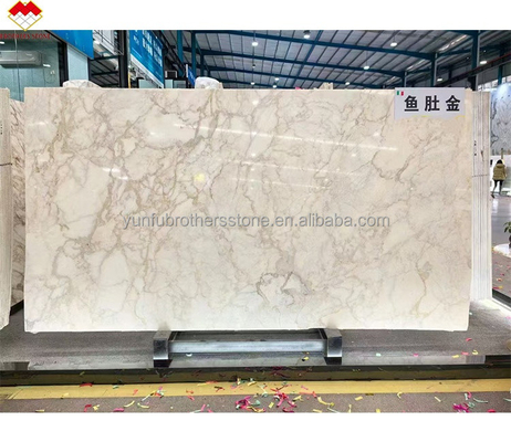 Handel FOB Modern Calacatta Gold Marmorplatte aus Italien für Wandboden-Tischplatte