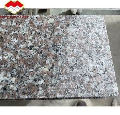 Modern polierte natürliche rosa Porino Granitplatte G664 nach Maß geschnitten China rosa Porno Rosa Preise