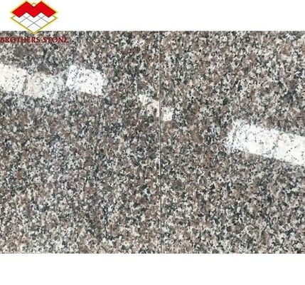 Modern G664 Lieferanten Granitplatten 60x60 Porrno Granitfliesen für Parkgrafik