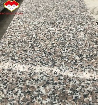 Modern G664 Lieferanten Granitplatten 60x60 Porrno Granitfliesen für Parkgrafik