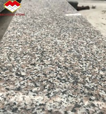 Modern G664 Lieferanten Granitplatten 60x60 Porrno Granitfliesen für Parkgrafik