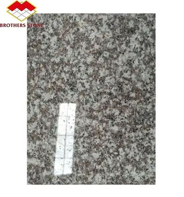 Modern G664 Lieferanten Granitplatten 60x60 Porrno Granitfliesen für Parkgrafik