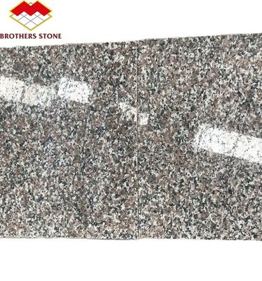 Modern G664 Lieferanten Granitplatten 60x60 Porrno Granitfliesen für Parkgrafik