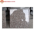 Stein des Granit-G664 deckt 24x24 mit Ziegeln, das mit Dichte 2.61g/Cm3 säurebeständig ist