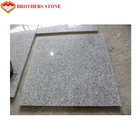 Große geflammte natürliche G603 Bianco graue Granit-Kristallplatte des Granit-Stein-