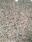Rosa-Granit-Fliese der Innenausstattungs-G635 des Granit-60x60 für Wand und Bodenbelag